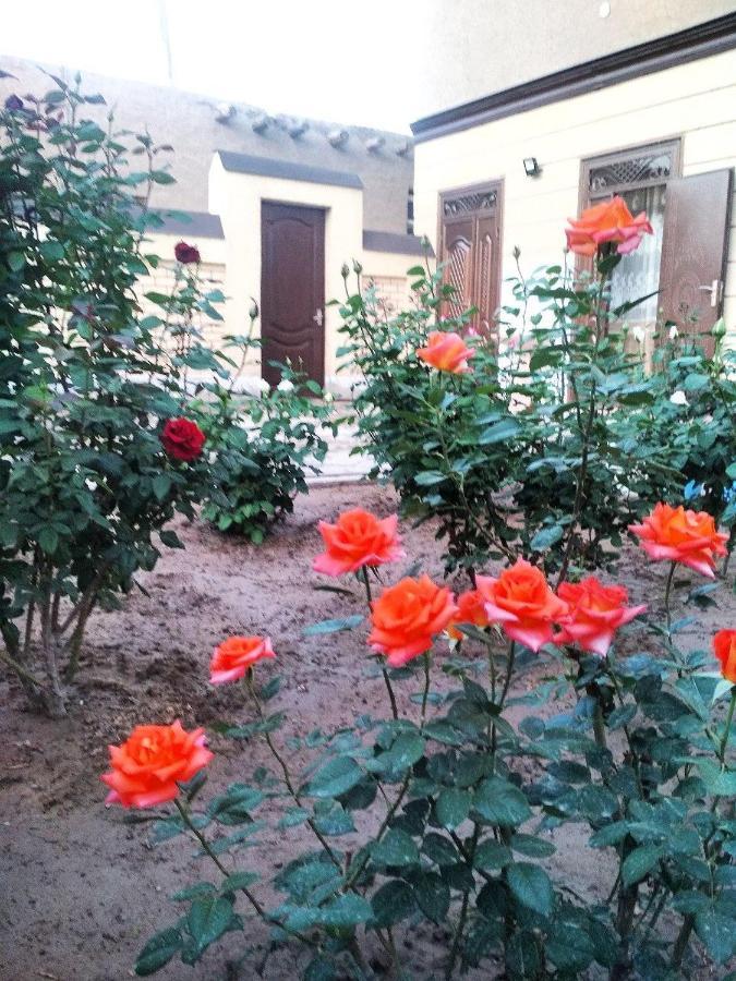 Shodlik Guest House خيوة المظهر الخارجي الصورة
